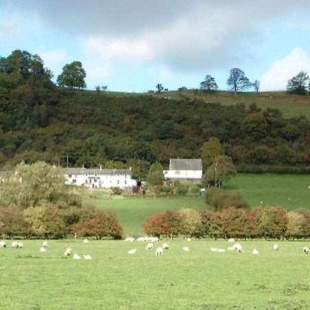 Osprey Cottage Bassenthwaite Bagian luar foto