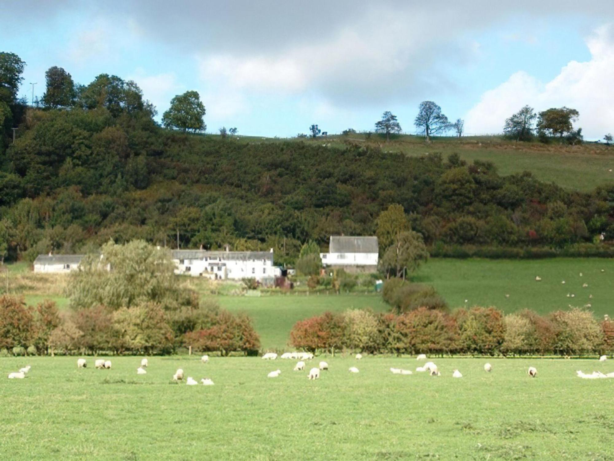 Osprey Cottage Bassenthwaite Bagian luar foto